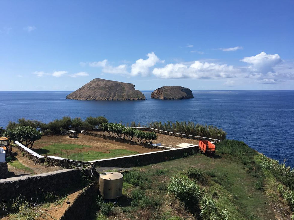 Miniatura: TOUR MIRADOUROS