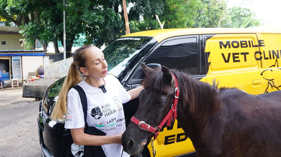 Karin Franken, CEO & Founder JAAN Domestic Foundation bersama salah satu Kuda Delman