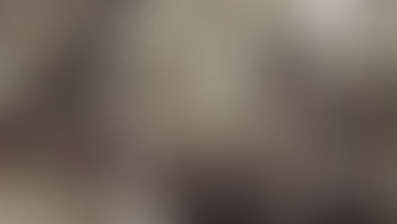 Henri Hiltl, un "Monsieur" chez les Bleus