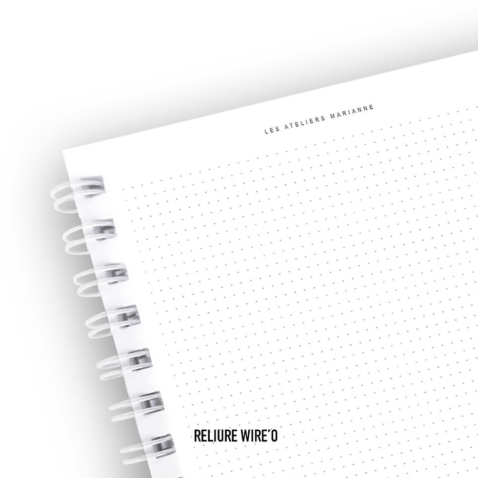 Miniature : CARNET - Liberty blue summer