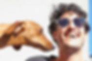 solaire marcoussis optique