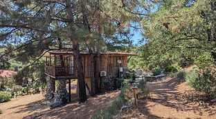 treehouse 1.jpg