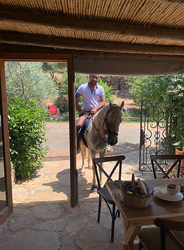 horse restaurant 1.jpeg