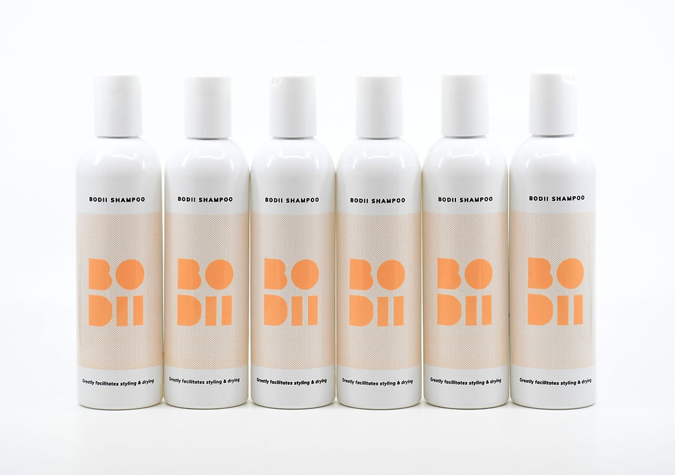 Bodii_Shampoo_6_Pack_250ml.JPG