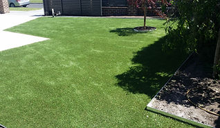 Artificial Grass