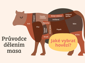 Průvodce dělením a druhy masa: Jaké vybrat hovězí?