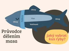 Průvodce dělením a druhy masa: Jaký vybrat kus ryby?