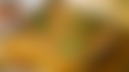 Velikonoční nádivka 2× jinak: S uzeným masem, nebo tofu 