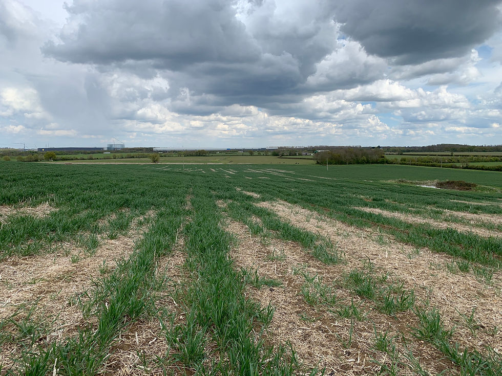 The Field Doesn't Read the Label