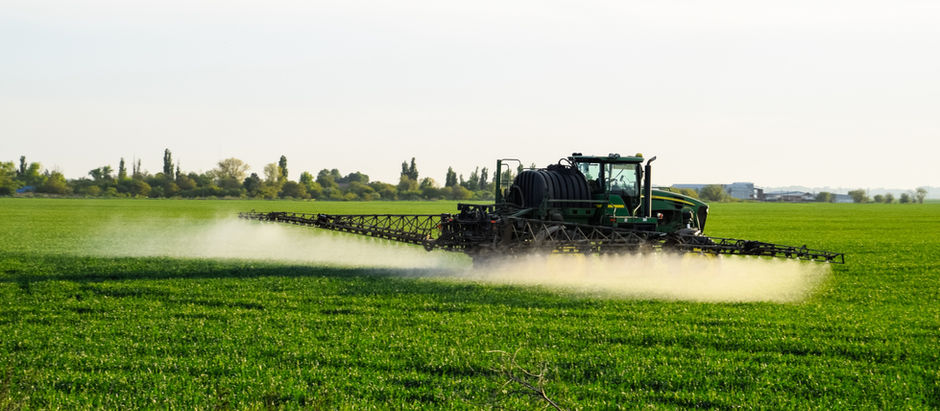 The Phosphorus Paradox – Part 2