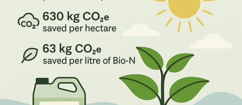 Bio-N: A Natural Pathway to Sustainable Nitrogen