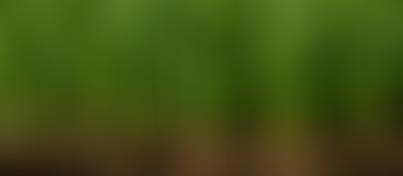 The Nitrogen Trap: Why So Many Crop Problems Start Before We Even Open the Bag