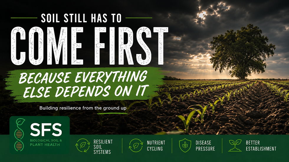 Soil Still Has To Come First