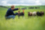 AdobeStock_541580043.jpeg