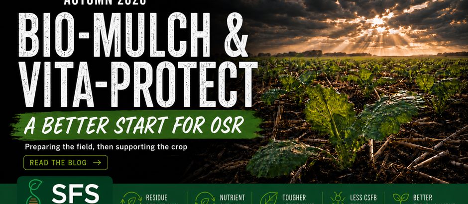 Bio-Mulch And Vita-Protect: Giving OSR A Better Start