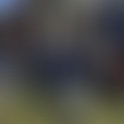 Harvard havia entrado na Justiça horas após Donald Trump anunciar restrição