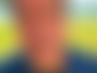     Ramagem  agradece aliados e Trump em vídeo após ser solto pelo ICE em Orlando