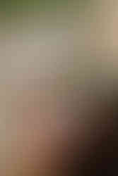 Momente nach der Trauung im Kloster Lorch, dokumentiert vom Hochzeitsfotografen