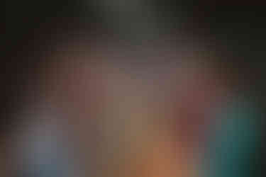 Feierliche Stimmung in der Straußenfarm Lindenhof Böhmenkirch