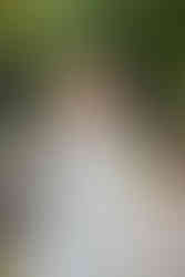 Sektempfang im Innenhof des Klosters Lorch nach der Trauung