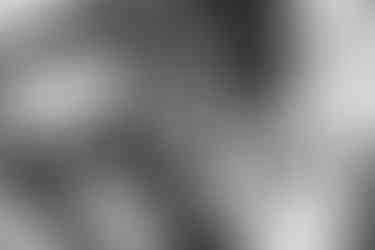 Brautpaarshooting in der Natur bei Essingen – Hochzeitsfotograf Aalen