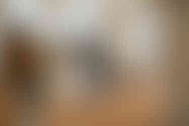 Hochzeitsfotograf aus Lorch hält den Moment nach der Trauung im Kloster fest