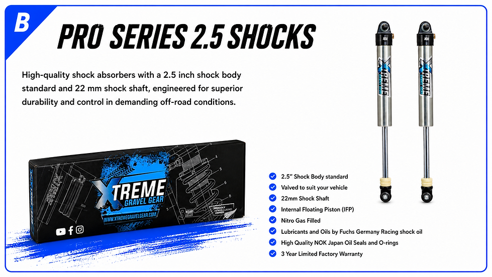 Pro Sereis shock features.png