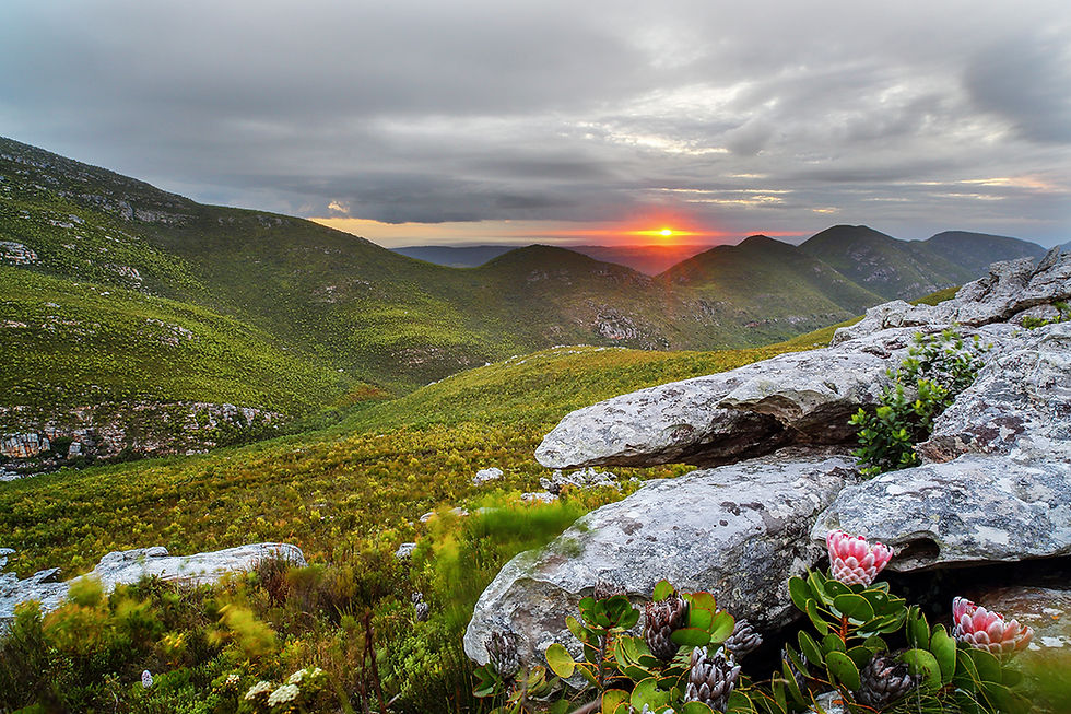 Sometimes it takes a while to learn the lesson. Don't be me...