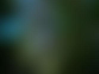 Because sometimes a very wide lens is not wide enough...