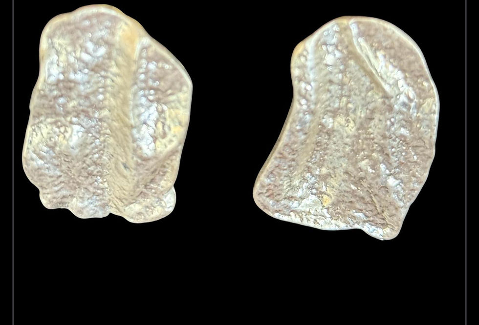 Thumbnail: LUCIA  EARRINGS