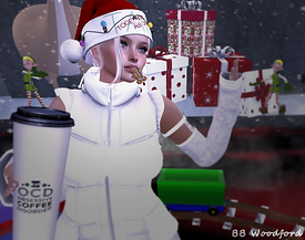 HOLLY 1.png