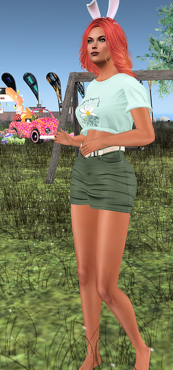 Z CHALLENGE HAIR COLOR ....png