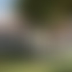 英語だけではない選択肢！ナショナルプラス校でインドネシア語を学ぶことの魅力とメリット