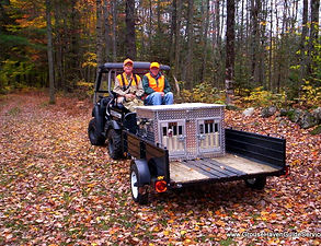 Ruffed grouse & woodcock hunting