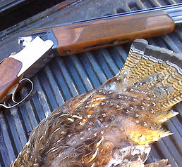 Photos at Grouse Haven Guide Service 