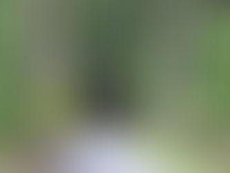 元正天皇がモデル!十一面観音菩薩「羽賀寺」@福井