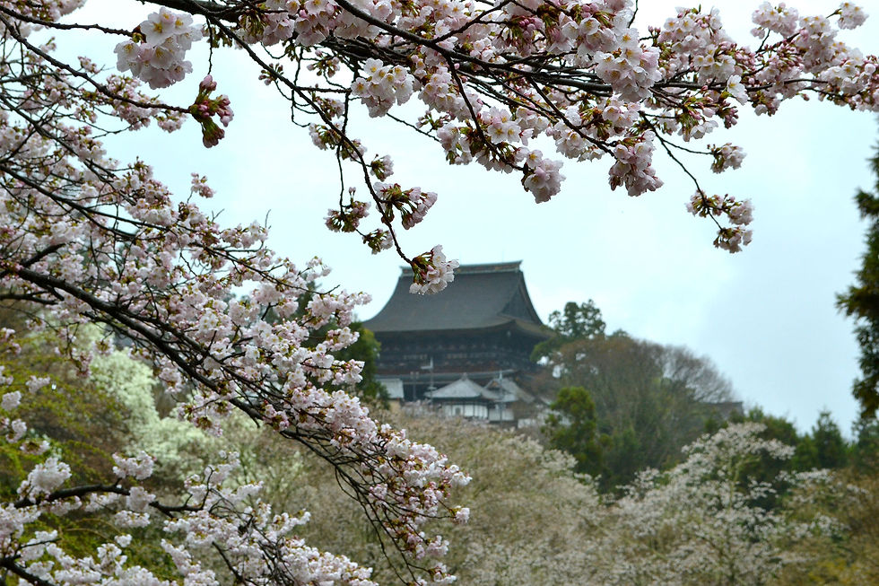 吉水神社