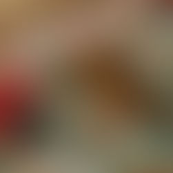 A Second Chance at Life – Gauri’s Rescue Story