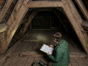 Do you need a bat survey before repairing a roof?