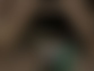 Do you need a bat survey before repairing a roof?