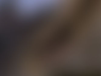 Can you block holes in a roof if bats might be present?