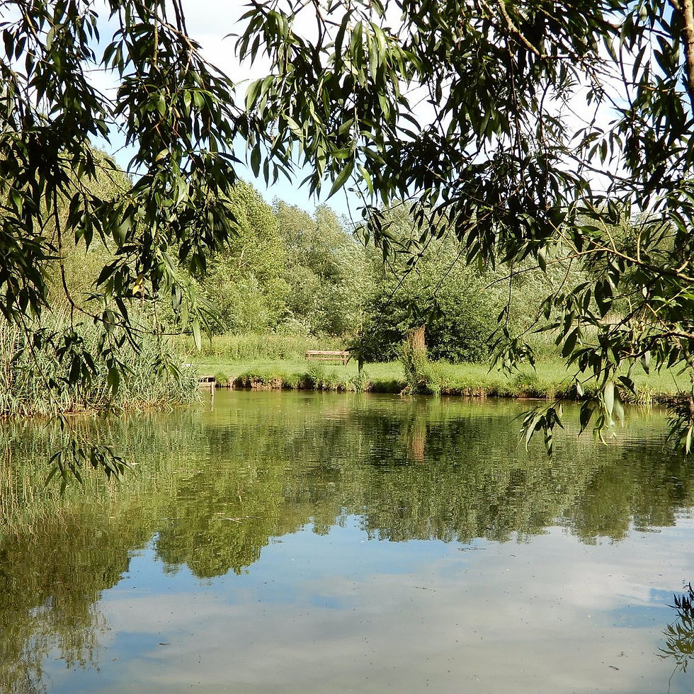 Winter News from CWAC