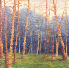 OrangeWoods_12x12_2018.jpg