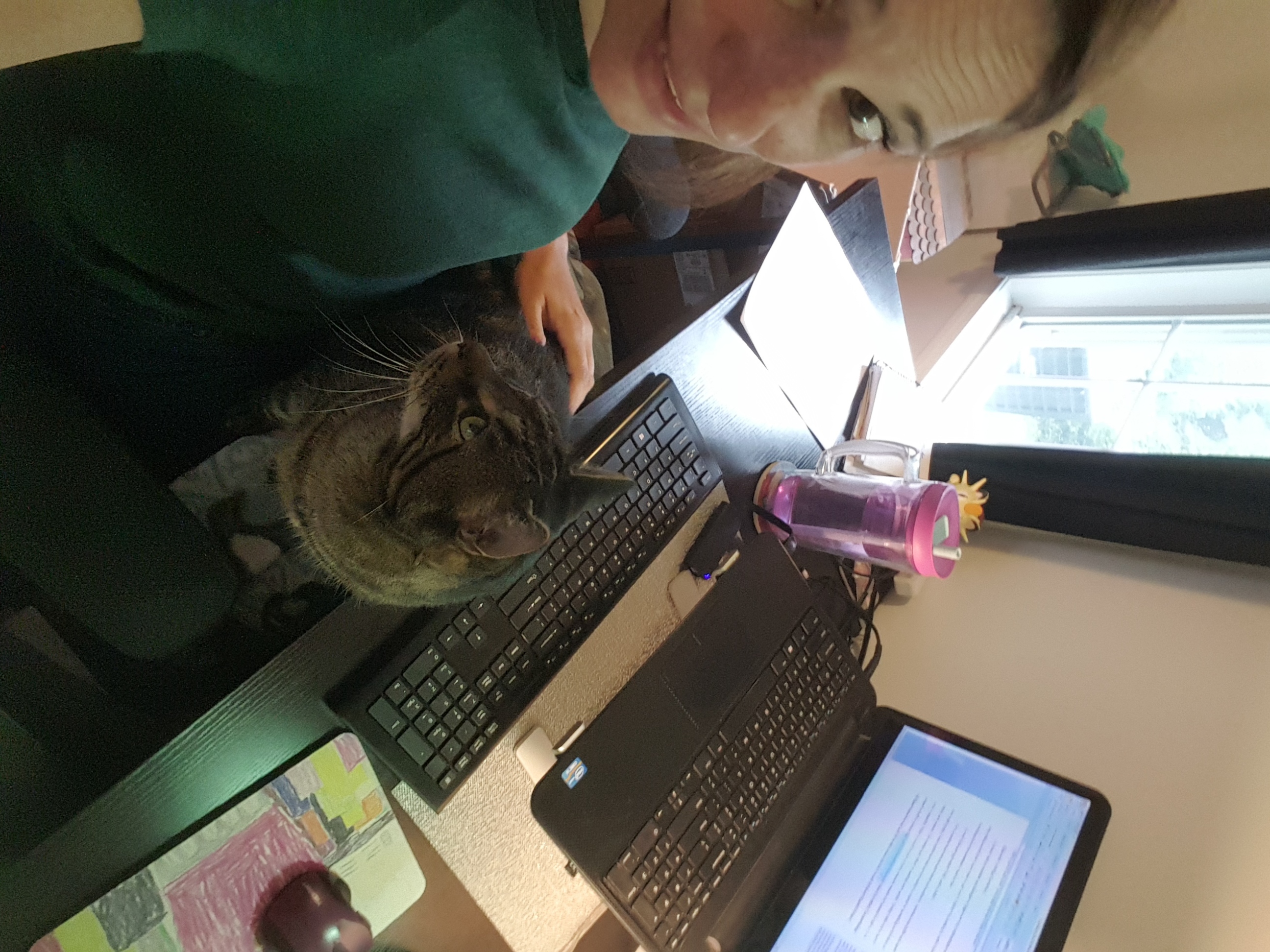Why writing takes so long
