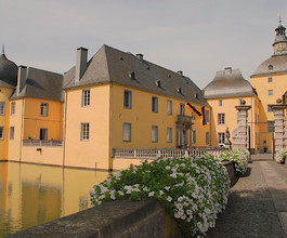image00003.jpeg