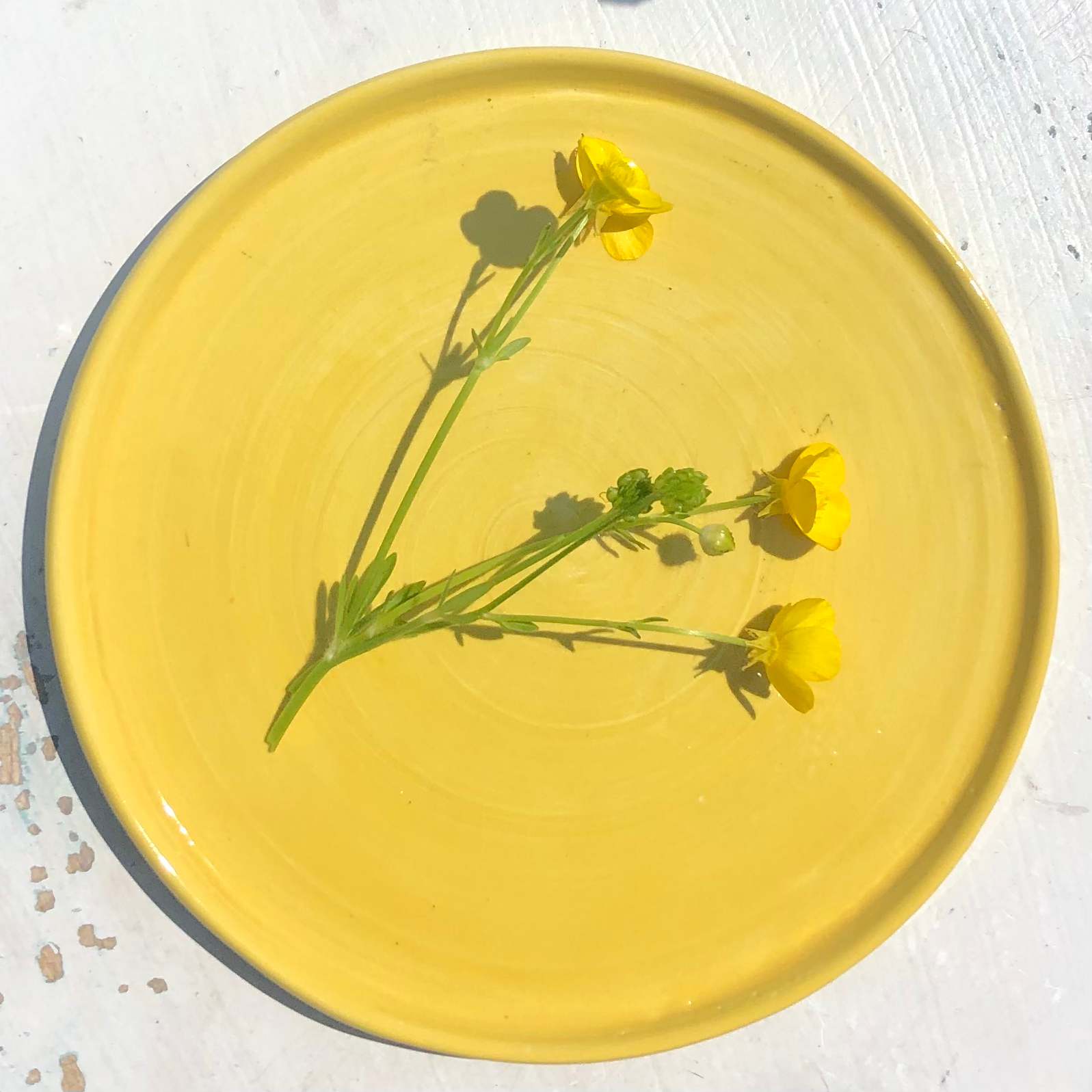 Plate Yellow