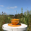 Miniaturbild: Bowl Sunset