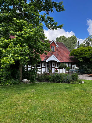 IMG_MSI_VILLA_TW_GARDEN_1.jpg