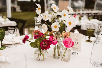 bud vases.jpeg