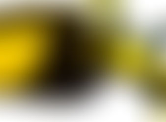 El mapa de la exportación del aceite de oliva argentino y ¿en qué lugar aparece Mendoza